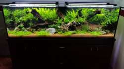 Aquarium South Afrika Dream Scape