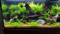 Aquarium South Afrika Dream Scape