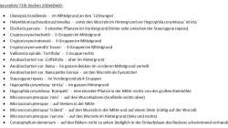 Pflanzen im Aquarium South Afrika Dream Scape