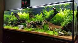 Aquarium South Afrika Dream Scape