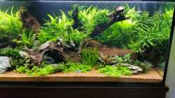 Aquarium South Afrika Dream Scape