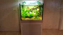Aquarium Würfel 300 Liter