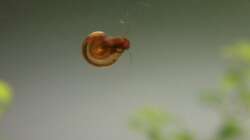 Es ist angerichtet...