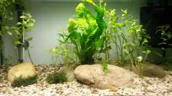 Gesamtansicht 13.01.16