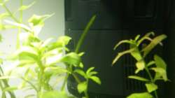 Filter JBL CristalProfi i60