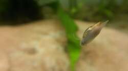 Es ist angerichtet...