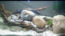 Becken während der Einlaufphase