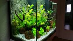 Aquarium Angie und Roberts Unterwasserwelt