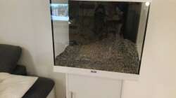 Aufbau Aquarium