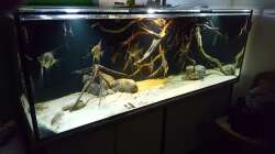 Aquarium 1000l Altum-Biotop