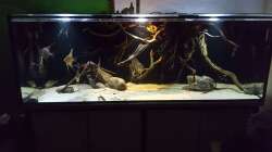 Aquarium 1000l Altum-Biotop