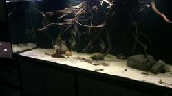 Aquarium 1000l Altum-Biotop