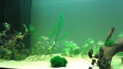 Frontblick linke Seite