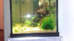 Blick vom Sofa mit Unterschrank