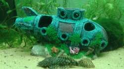 Uboot ausgesucht von meinem Sohn