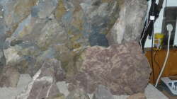 Granitsteine im Wald gesammelt