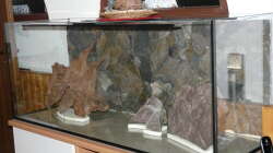 Dekoration auf Styrodurplatten um den Glasboden nicht zu beschädigen