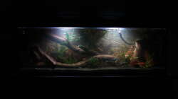 Abendstimmung (02.02.2016)