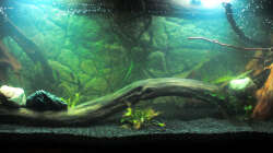 Tag der Befüllung, 23.01.2016