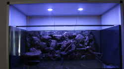 Aquarium Hypancistrus Heaven