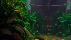 Aquarium Am Ufer