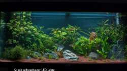 Aquarium Am Ufer