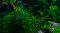 Aquarium Am Ufer