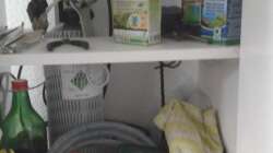 Technik im Aquarium Gesellschaftsbecken