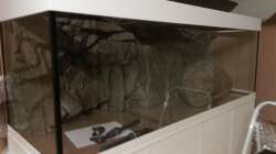 Die Rückwand sowie ein River Stone