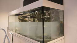 Das Becken wird das erste Mal befüllt