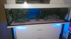 Bau Rückwand 4.mit Polyesterharz bestrichen und gewässert