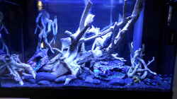Aquarium Becken 32838