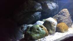 Dekoration im Aquarium NonMbuna by Tobi