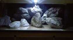 Dekoration im Aquarium NonMbuna by Tobi