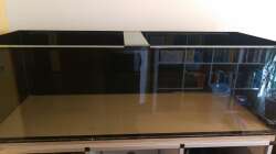 Aquarium NonMbuna by Tobi