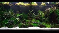 Aquarium Zweiblum´s Wunderland