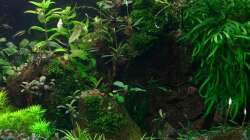 Aquarium Zweiblum´s Wunderland