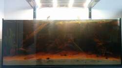 Aquarium Rio Negro Totarm