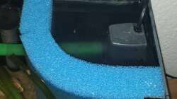 Technik im Aquarium Sand and Shells