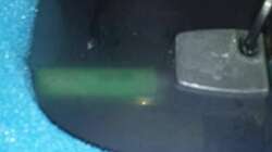 Technik im Aquarium Sand and Shells