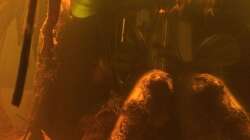 Aquarium Eingetaucht