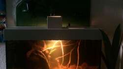 Aquarium Eingetaucht