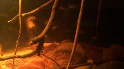 Aquarium Eingetaucht