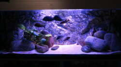 Aquarium Riverstone