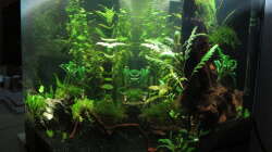 Seitenansicht Tag 18