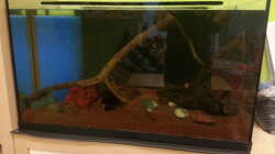 Hardscape