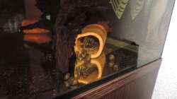 L 202 in Quarantäne