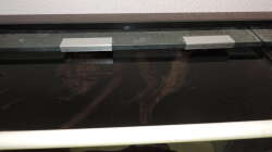 Wurzeln mit Halerung