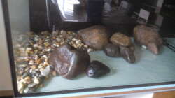 Dekoration im Aquarium Namenlos