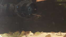 Tunze Nanostream 6095